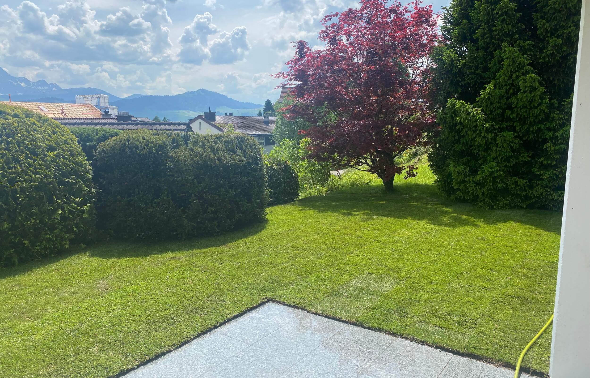 Gepflegter Garten mit Rasen, rotem Ahorn und Blick in die Landschaft